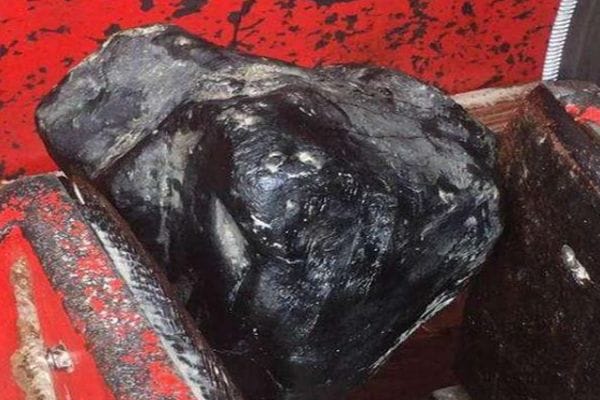 翡翠乌鸡料值钱吗_翡翠乌鸡料怎么样-第2张-翡翠-玉仓库