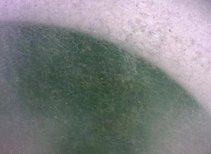 如何鉴定翡翠_***快速辨别翡翠真伪的方法-第2张-翡翠-玉仓库