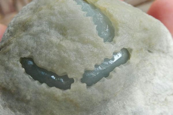 翡翠毛料是什么意思_怎么识别翡翠毛料-第3张-翡翠-玉仓库