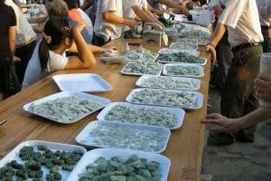 哪里翡翠原石便宜-第4张-翡翠-玉仓库