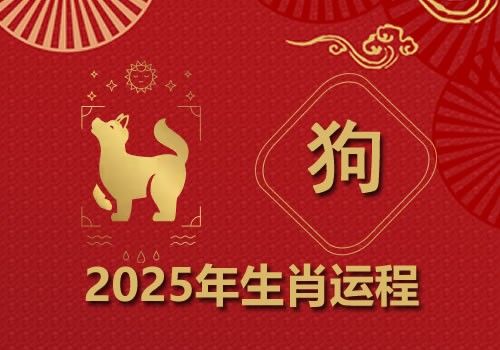 属狗人2025年全年整体运势及每月运势详解