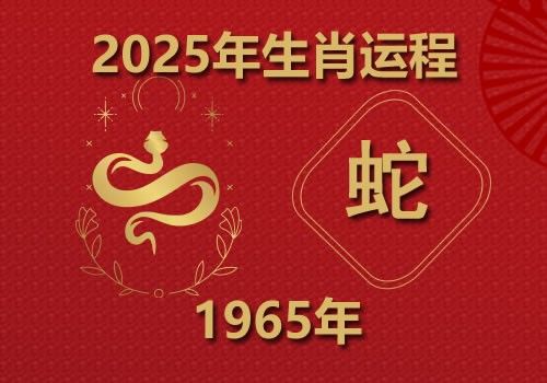 1965年属蛇人2025年全年运势(今年多大)