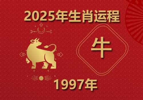 1997年属牛人2025年全年运势(今年多大)