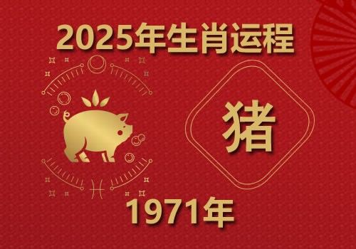 1971年属猪人2025年全年运势(今年多大)