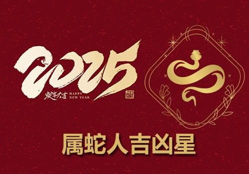 属蛇人2025年吉星凶星分析