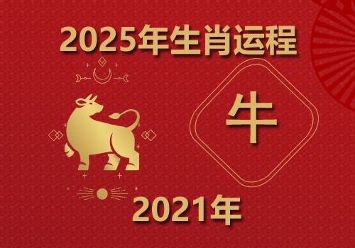 2021年属牛人2025年全年运势(今年多大)