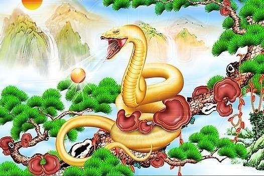 2025蛇是什么命_五行属什么