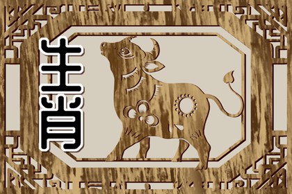 属牛的和什么不合_属相相冲的化解方法