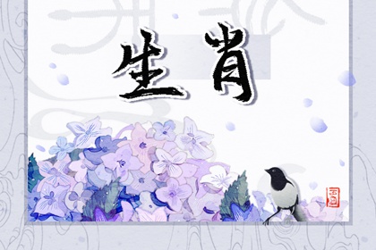 生肖男马配生肖女兔好吗_婚后注意事项