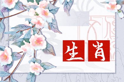 早上辰时出生的女孩是什么命_不同属相出生辰时