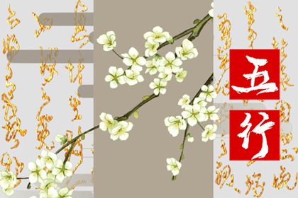 2007年五行属什么命，2007年属猪是什么命？