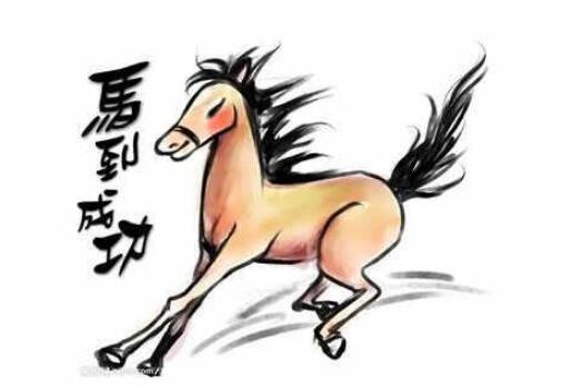 属马的人命好不好_-_马年出生的人性格特征