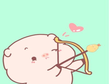 属猪和什么属相合财_
