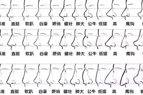 冲生肖是什么意思(冲生肖但是是吉日)