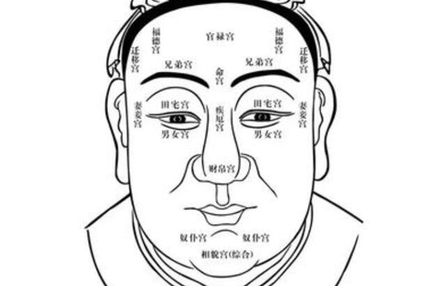 十二生肖北方的生肖-属于北方的三个生肖