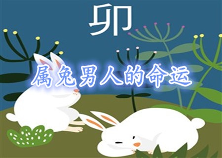属兔的男人命好不好_
