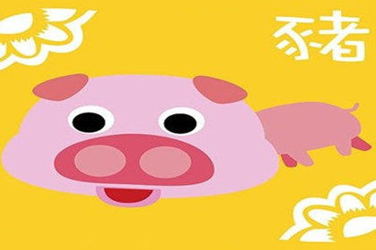 属猪人在什么情况下容易冲动