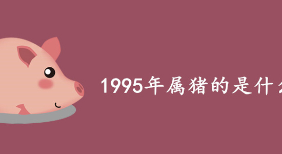 95年是什么命_1995年属猪的是什么命