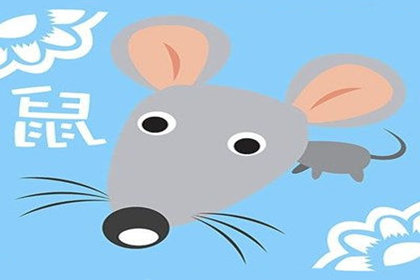 属鼠的人何时能看破红尘
