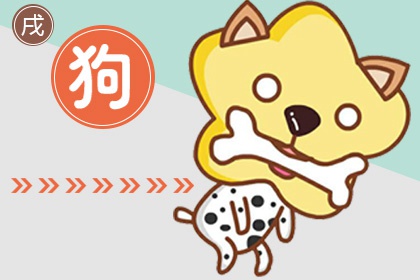 生肖狗与生肖猪配不配婚姻_生肖配对分析