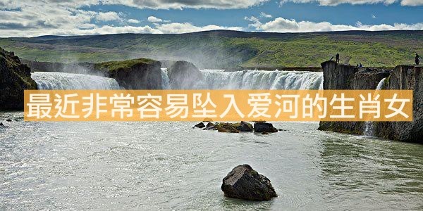 最近非常容易坠入爱河的生肖女