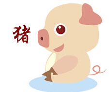 属猪的几月出生命最好