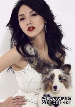 你的爱美指数有多高