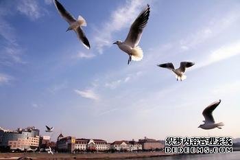 你不满情绪的根源是什么