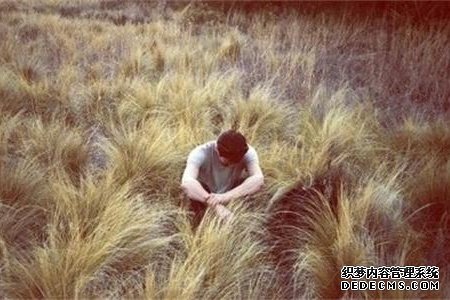 测试你身体里有多少“直男癌”-第5张-星座-玉仓库