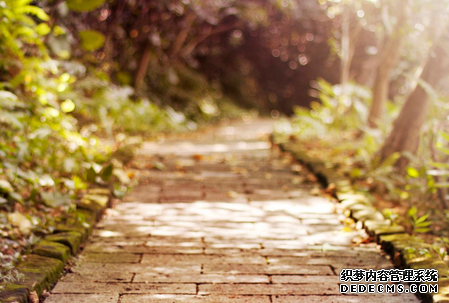 测测你的人生导师是哪种-第5张-星座-玉仓库