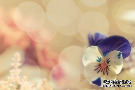 你恋情中的弱势在哪