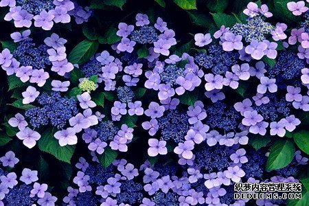 测出你身边的情敌-第3张-星座-玉仓库