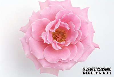 你入秋之后的运势会如何