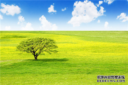 面对爱情你为何老是下不了决心-第7张-星座-玉仓库