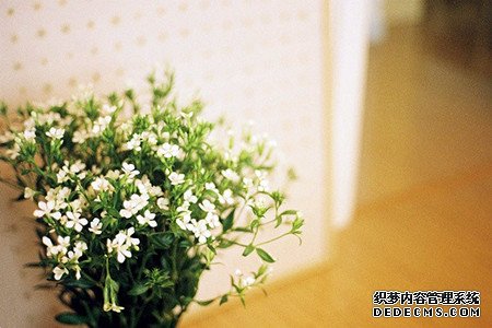 测试你明年会幸福吗？