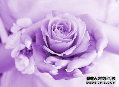 测试适合你的爱情公式