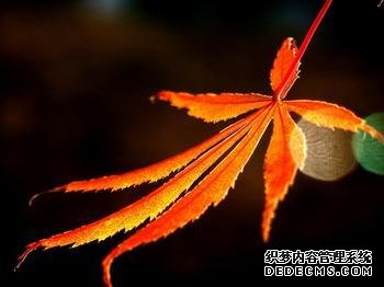 谁永远都不会爱上你呢