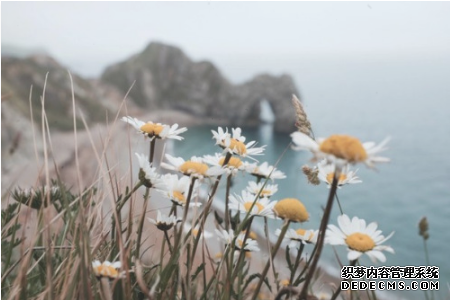 测遇上更合适你的人你会怎么做-第2张-星座-玉仓库