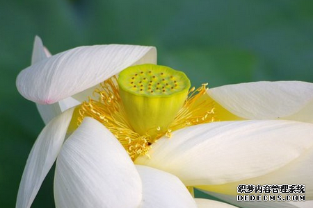 你是怎样追求喜欢的人-第6张-星座-玉仓库