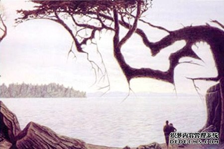 测你是否是一个细心的人