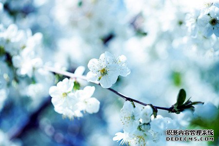 前任、现任你更爱哪一个？