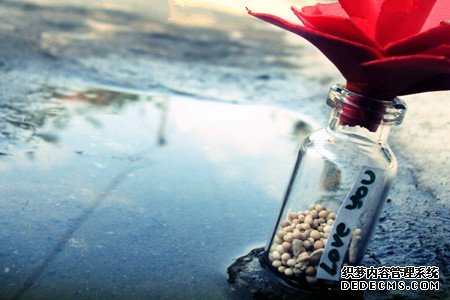 测你们的爱情是否能够容忍杂质