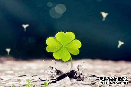 测测星期几是你的面试幸运日