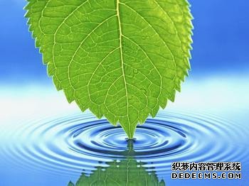 测试你为自己负责吗