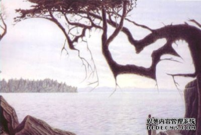 你是个细心的人吗