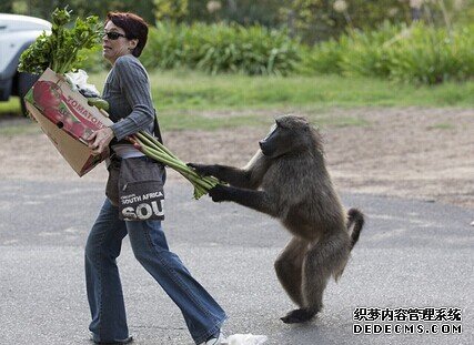 你是否是个厚脸皮呢