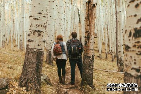 测失恋对你的打击有多大