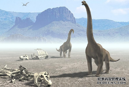 测测你面对死亡的心态-第5张-星座-玉仓库
