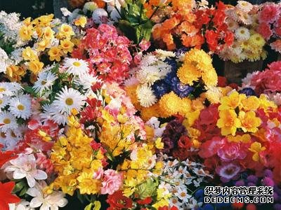 你能否有“Duang”起来的好运气