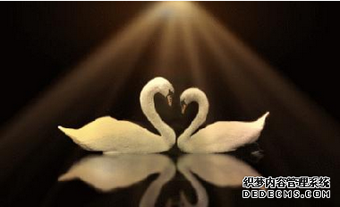 你是如何感觉爱的存在-第4张-星座-玉仓库